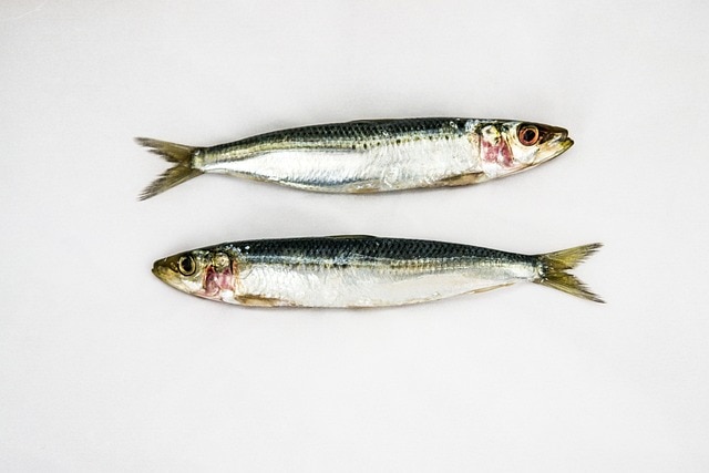 Why Whiting Fish is So Cheap