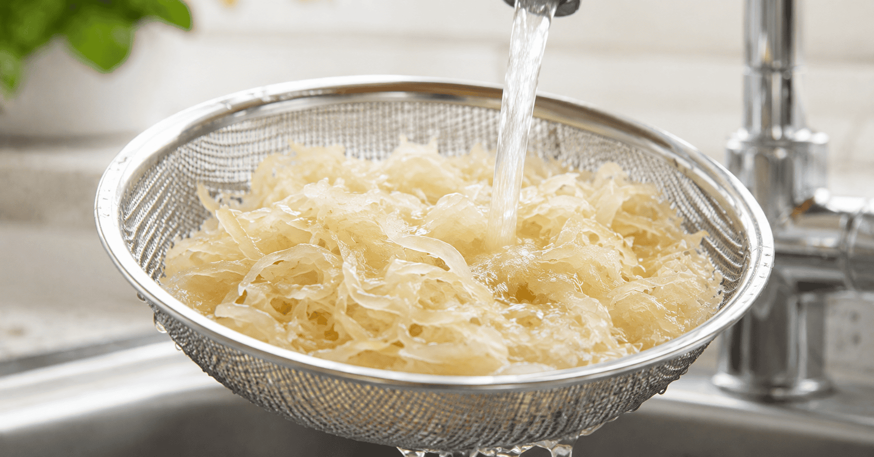 A bowl of plain, shredded sauerkraut being rinsed under a kitchen faucet to remove excess salt for pet safety.