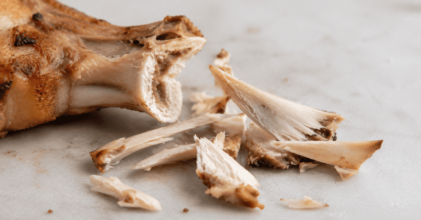 A close-up of a cooked pork chop bone splintered into sharp pieces, illustrating the danger this treat poses to a dog's digestive tract.