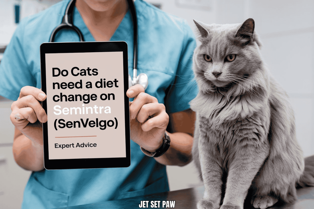 do cats need to change diet on senvelgo