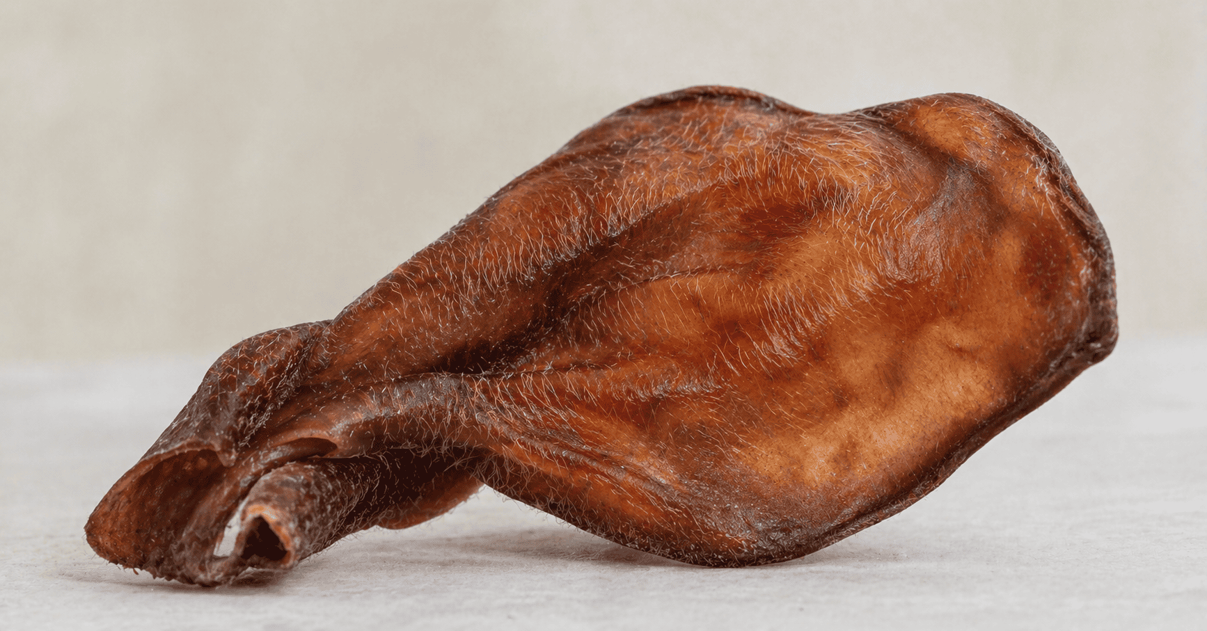 A close-up of a dried pig ear dog treat, showing the natural texture and small keratin hairs on the surface.